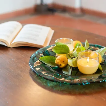 Matilde Villa Vinci